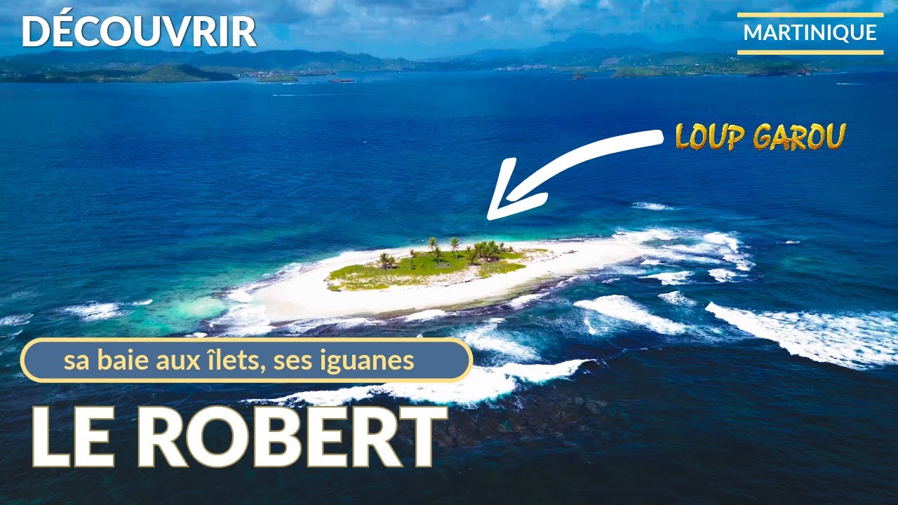 Martinique : Le Robert ses îlets, ses iguanes et sa culture de la yole