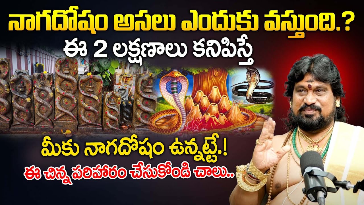 నాగదోషం అసలు ఎందుకు వస్తుంది.? | Naga Dosha Pariharam In Telugu | Naga Dosha Symptoms | BRK BHAKTHI