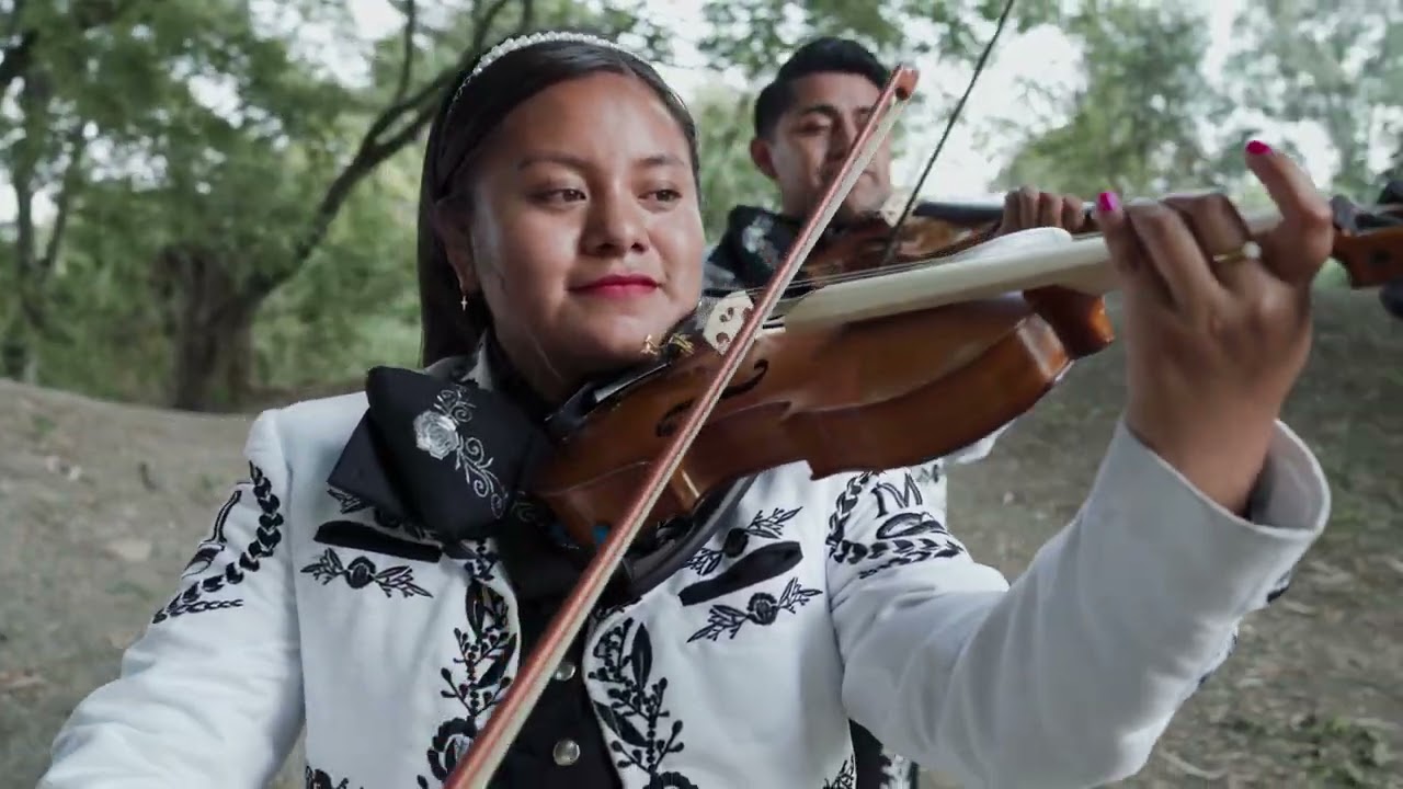 Si te pudiera mentir