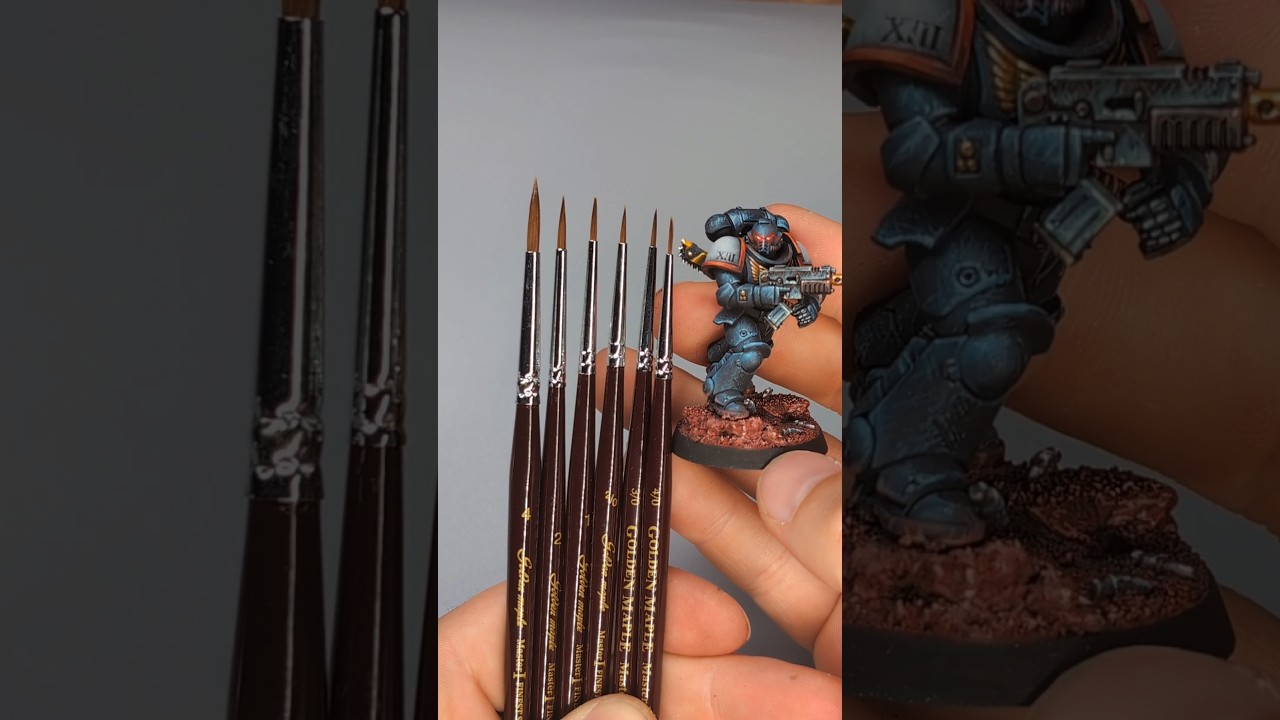 Golden maple brushes size comparison  