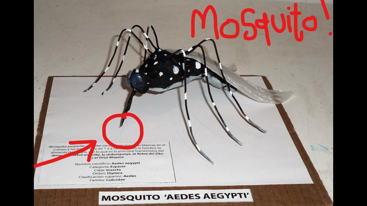 Mosquito (maqueta)