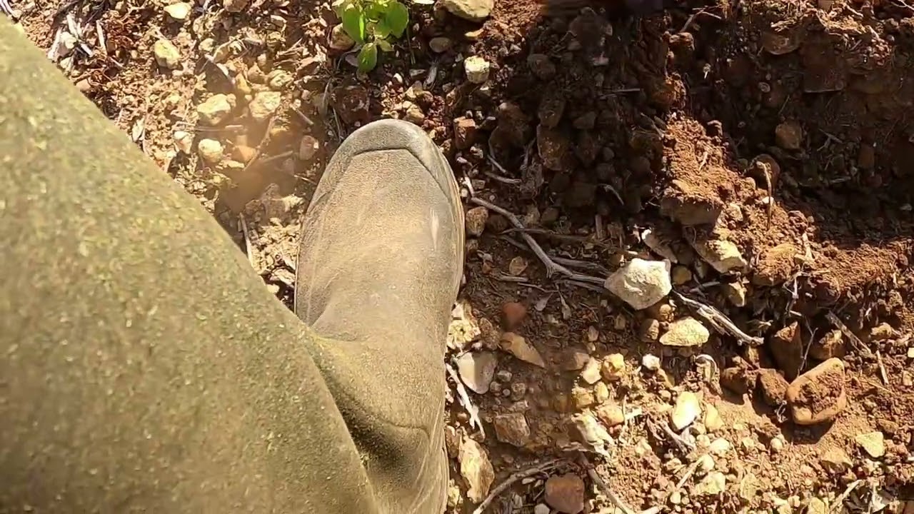 Des trouvailles, et une qui me fait tout particulièrement plaisir 👍😀