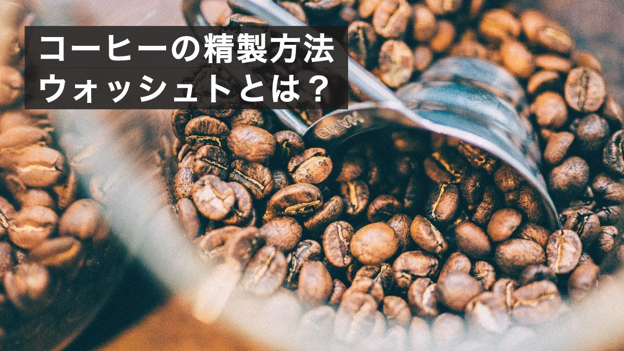 コーヒーの基本の精製方法「ウォッシュト」の魅力と工程について解説