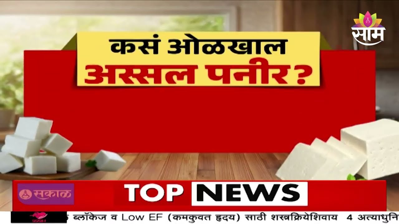 राज्यात एनालॉग पनीरवर बंदी | Analog Paneer Ban in Maharashtra