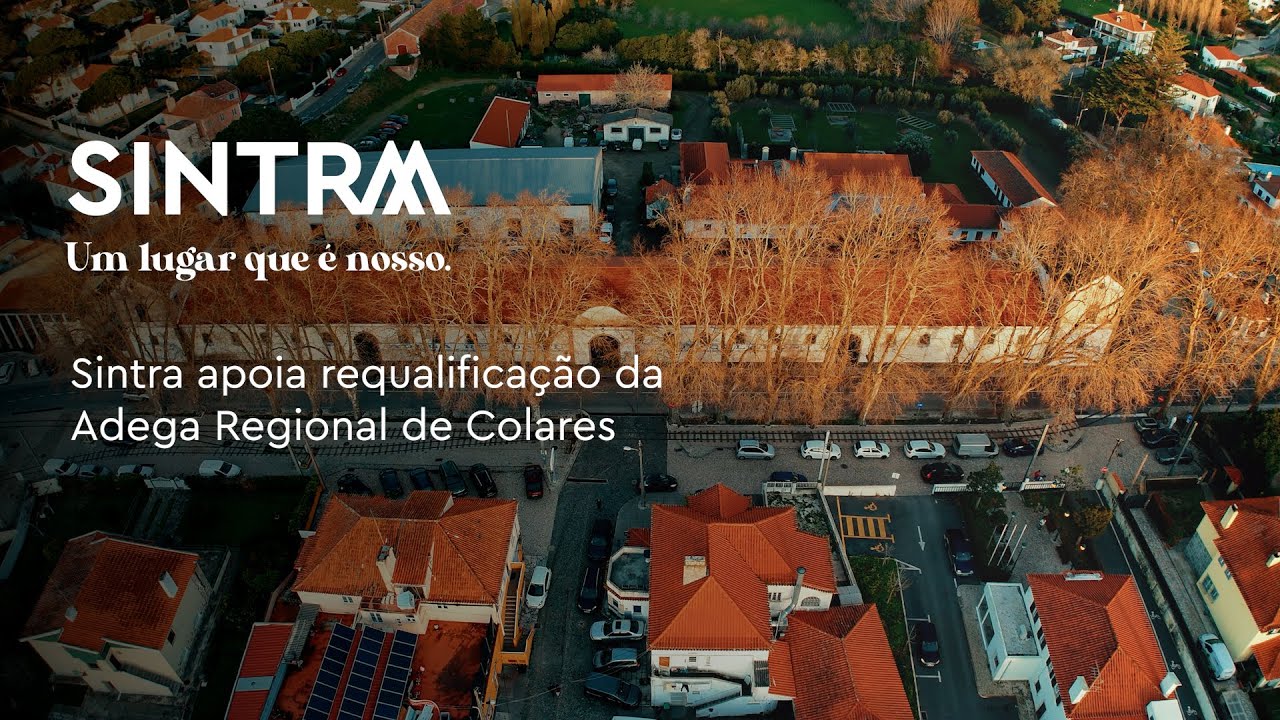 Sintra apoia requalifica&ccedil;&atilde;o da Adega Regional de Colares