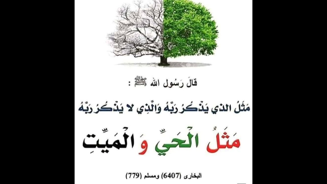 خطبة جمعة - فضل ذكر الله تعالي - شريف هاني