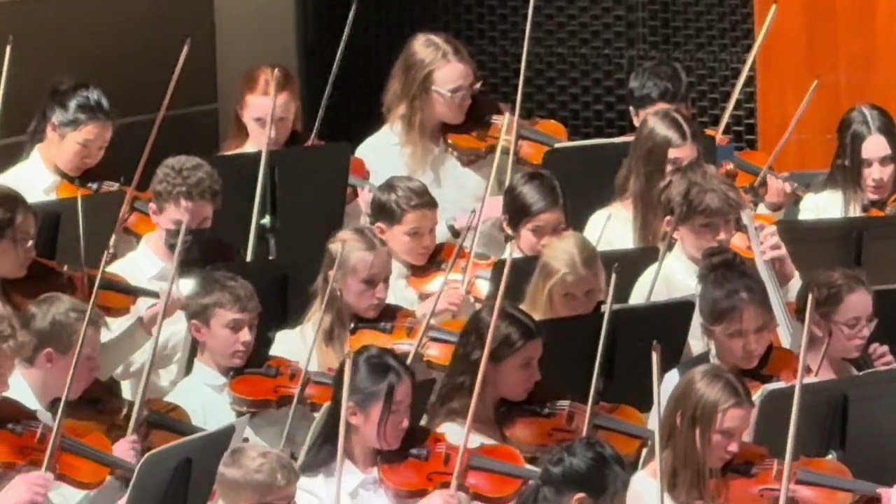 2026 MYSO Sinfonia - Pineapple Rag