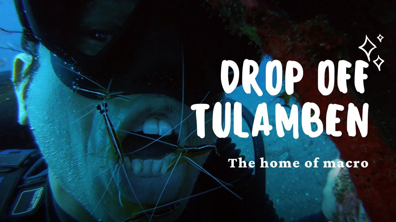 [4K] DIVING IN DROP OFF, TULAMBEN BALI | BLACK SANDY BOTTOM.