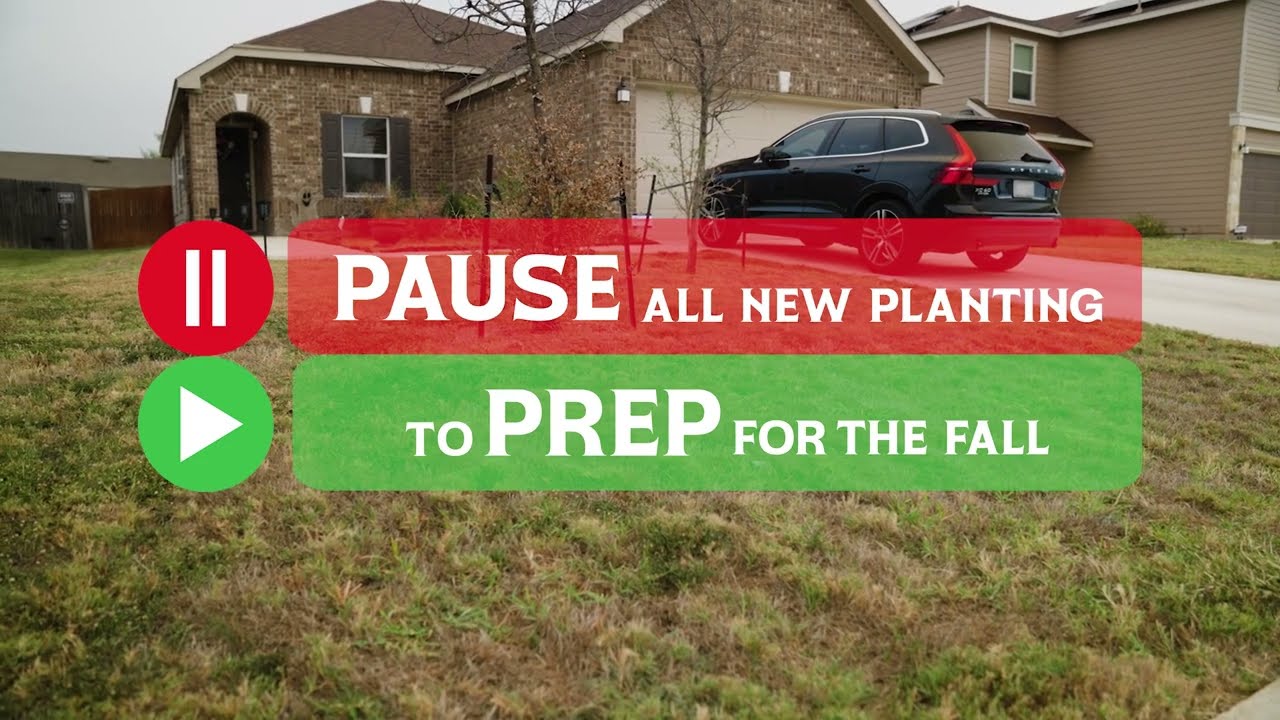 How to Get Rid of Grass