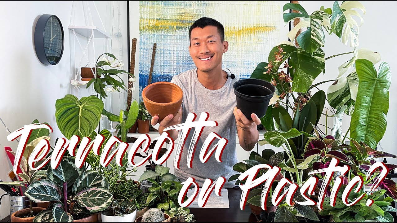 Terracotta VS Plastic Pots (and everything in between)