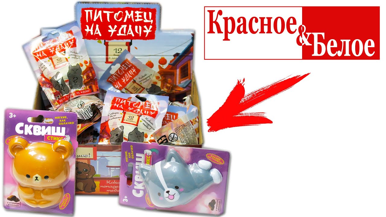Питомцы на удачу из КБ! И Сквиши на телефон