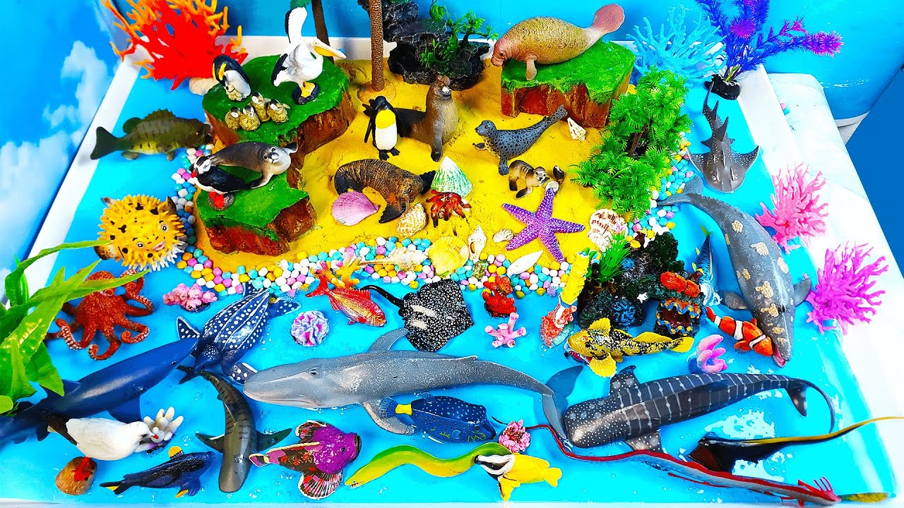 Learn Marine Animals Names and facts-Sea Animals diorama Ocean and island-educational video