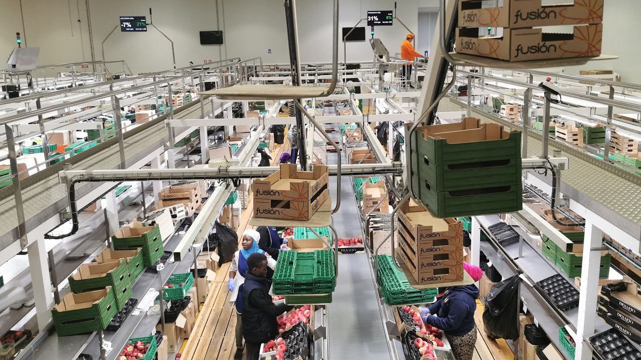 Caso de éxito de Serma en Frutas la Espesa