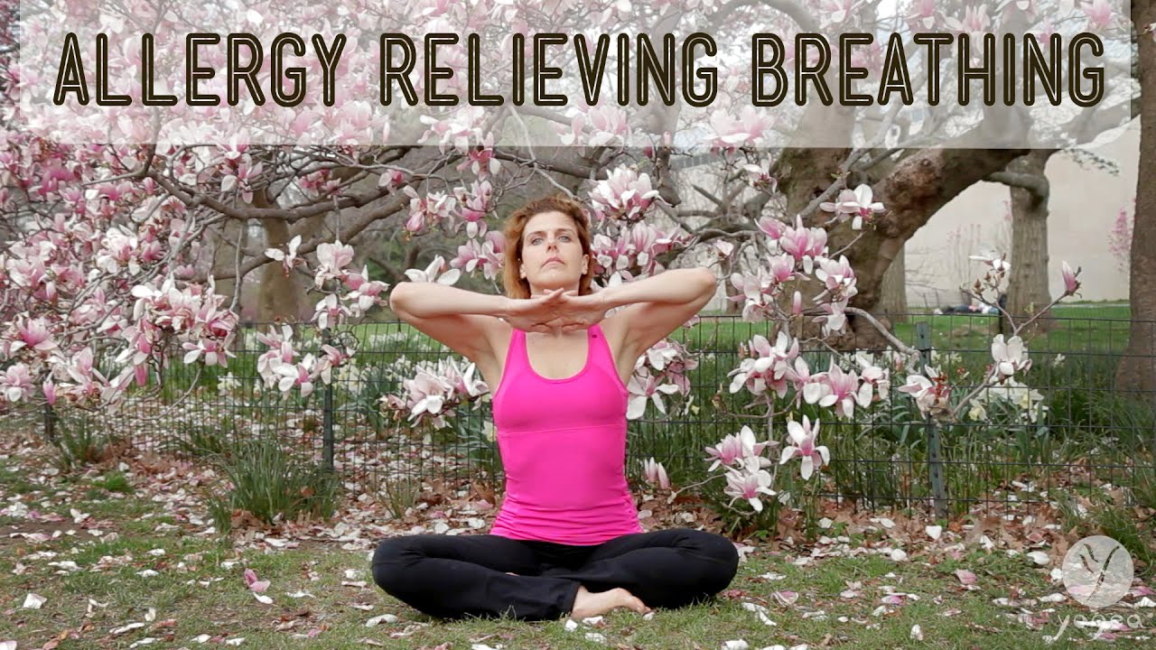 Дыхание от аллергии Yogea: Clear Flow