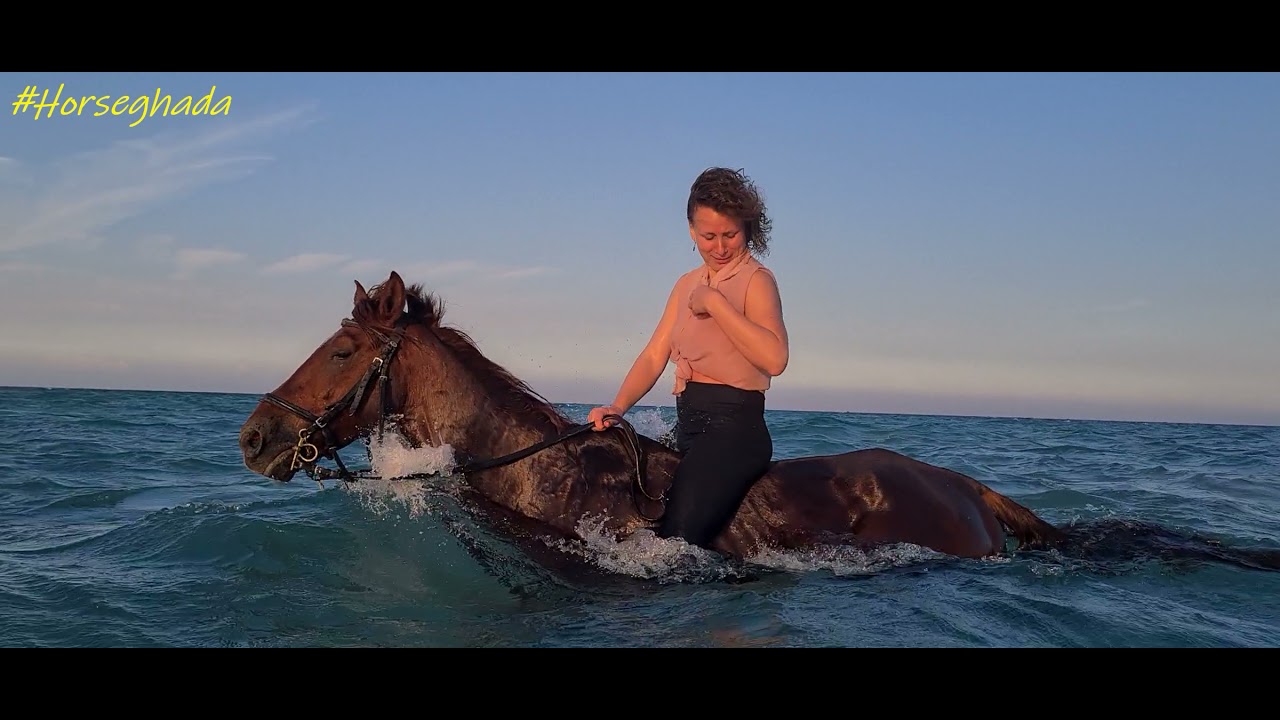 horse riding in hurghada