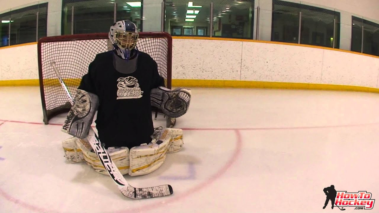 Shooters Illusion - How to See the Net through the Eyes of the Puck