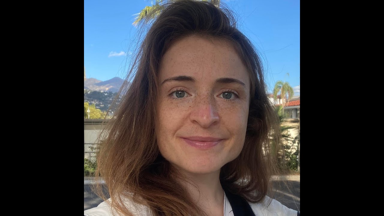 Alice Pelosse - Success and breakdown of Tanner's law with dense granular suspensions