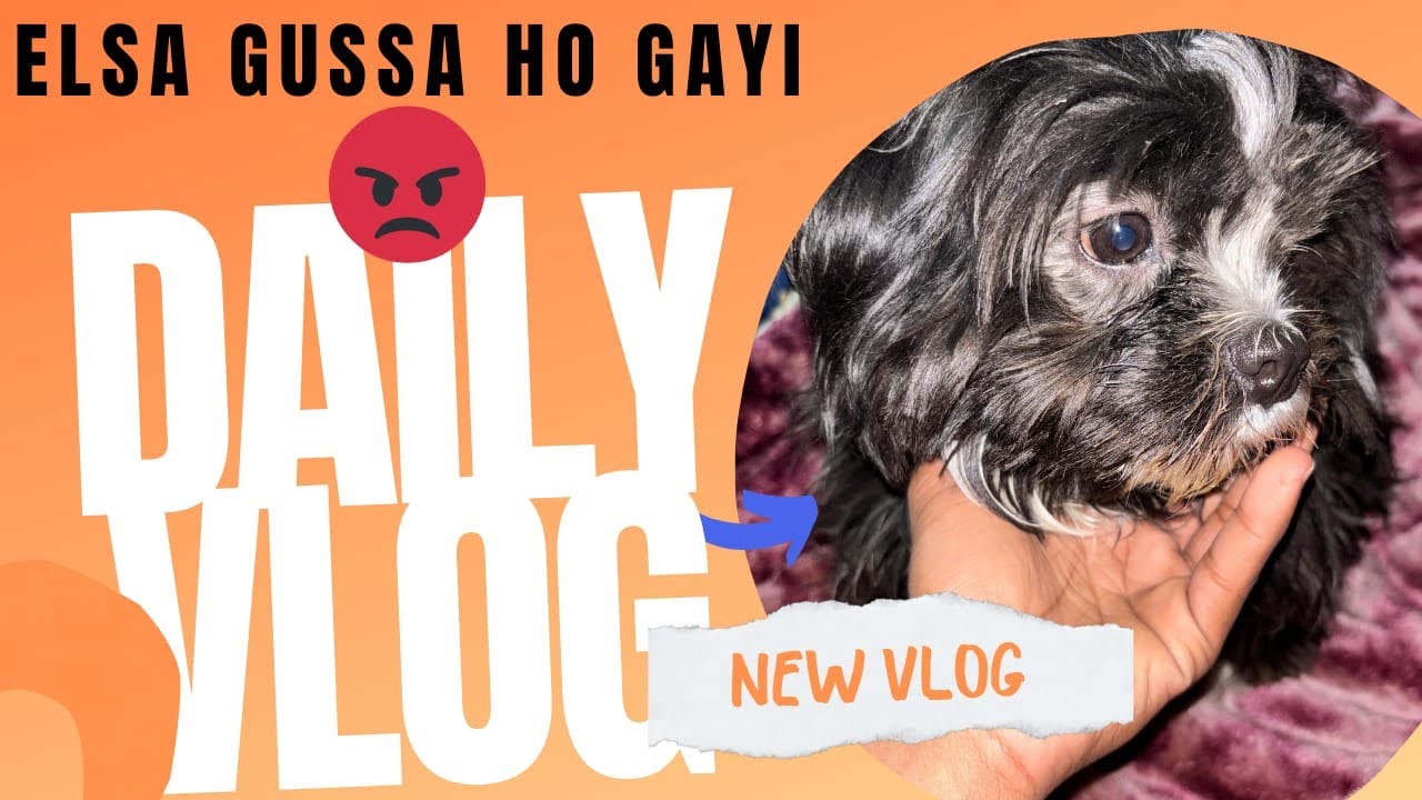 A Full Day With Elsa 🐶 | Shop Fun, Customers & Her Favorite Chicken Rice