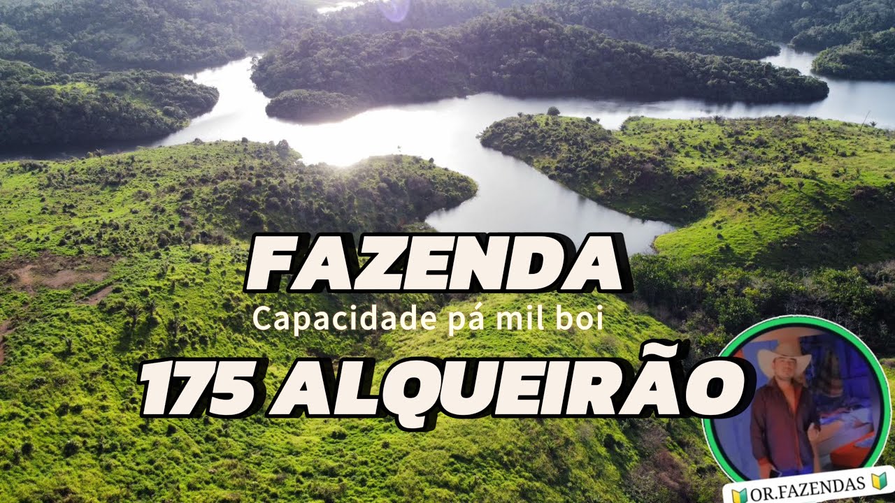 FAZENDA COM CAPACIDADE PRA MIL 🐂 SÃO 175 Alqueirao goiano 😱😳.