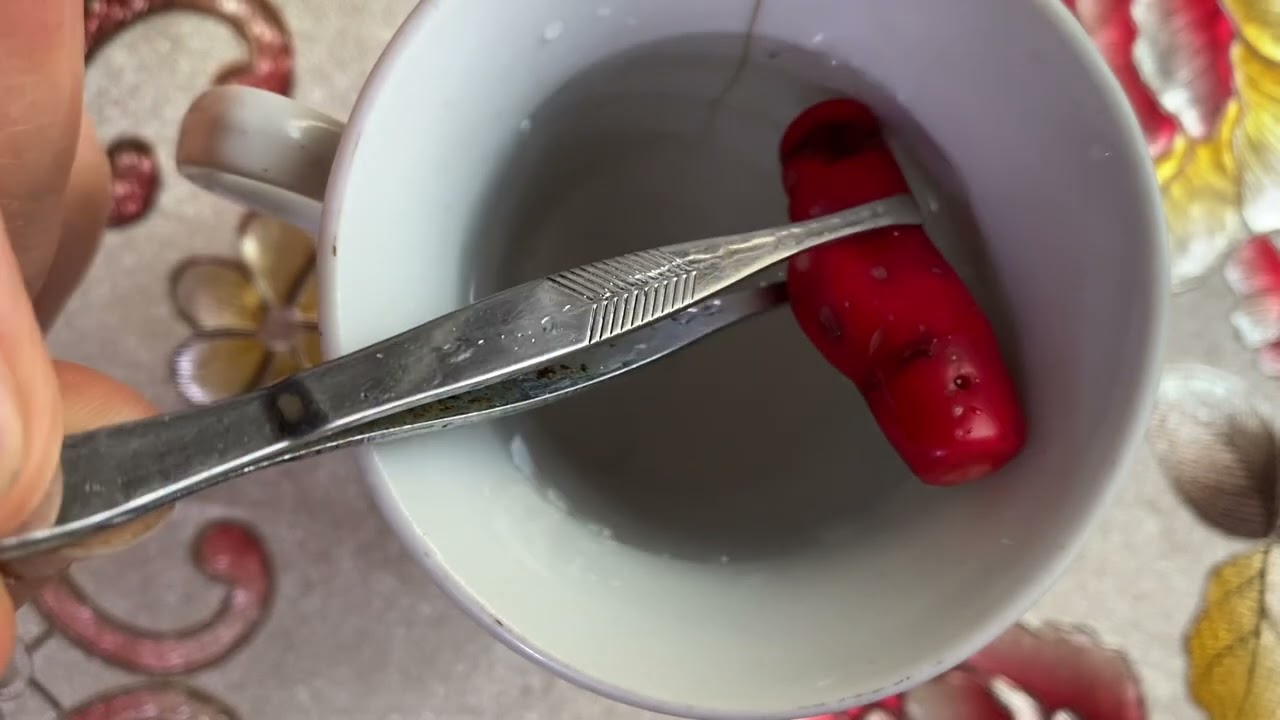كيفية معرفه احجار المرجان الاصلية
