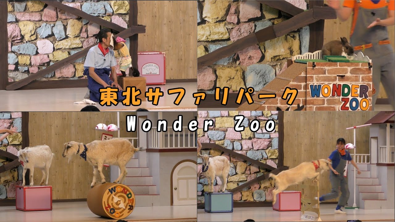 【東北サファリパーク】Wonder Zoo（小動物ショー）
