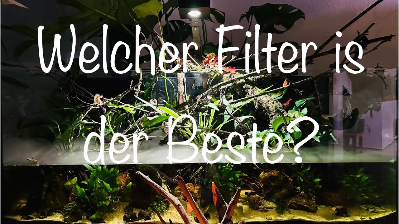 Welcher Filter fürs Aquarium #aquarium #aquaristik #aquascape