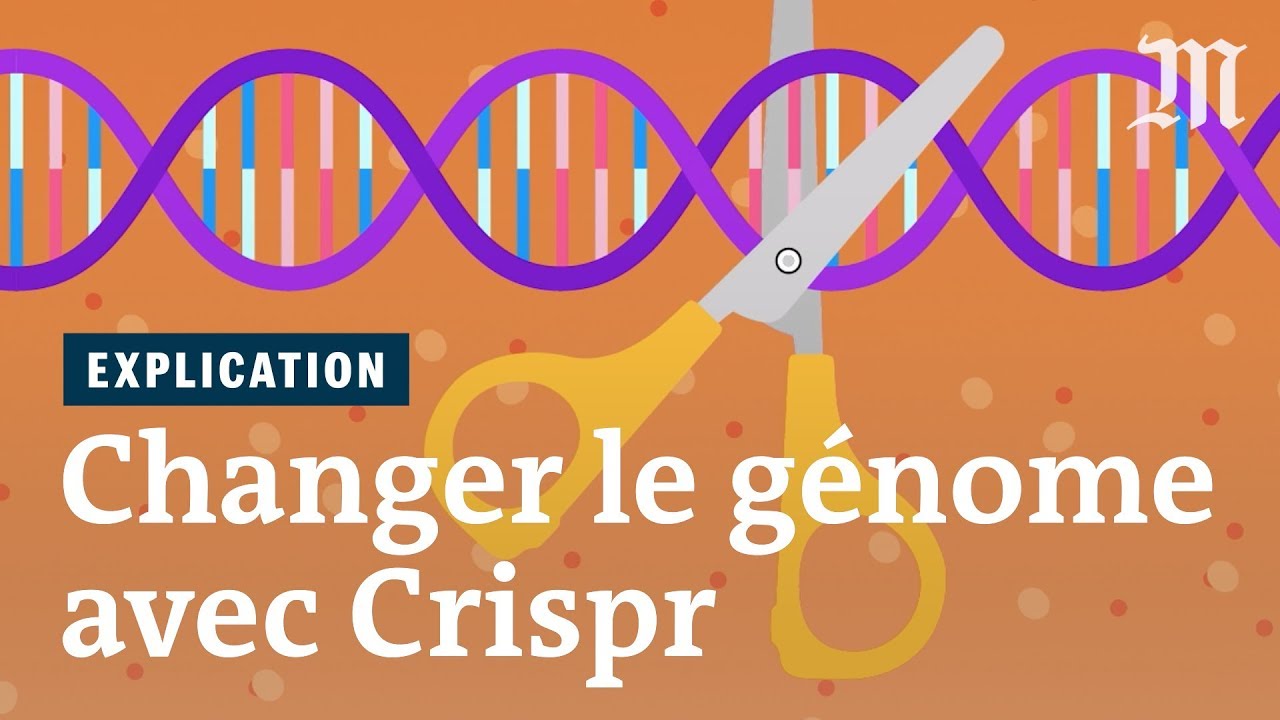 Notre g&eacute;nome manipul&eacute; ? La r&eacute;volution Cripsr expliqu&eacute;e