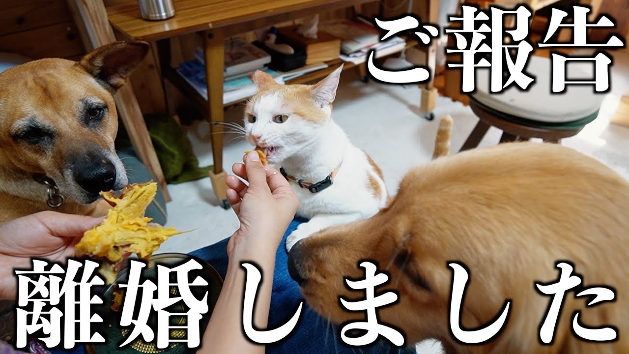 離婚して妻が家から出ていってしまいました【ご報告】