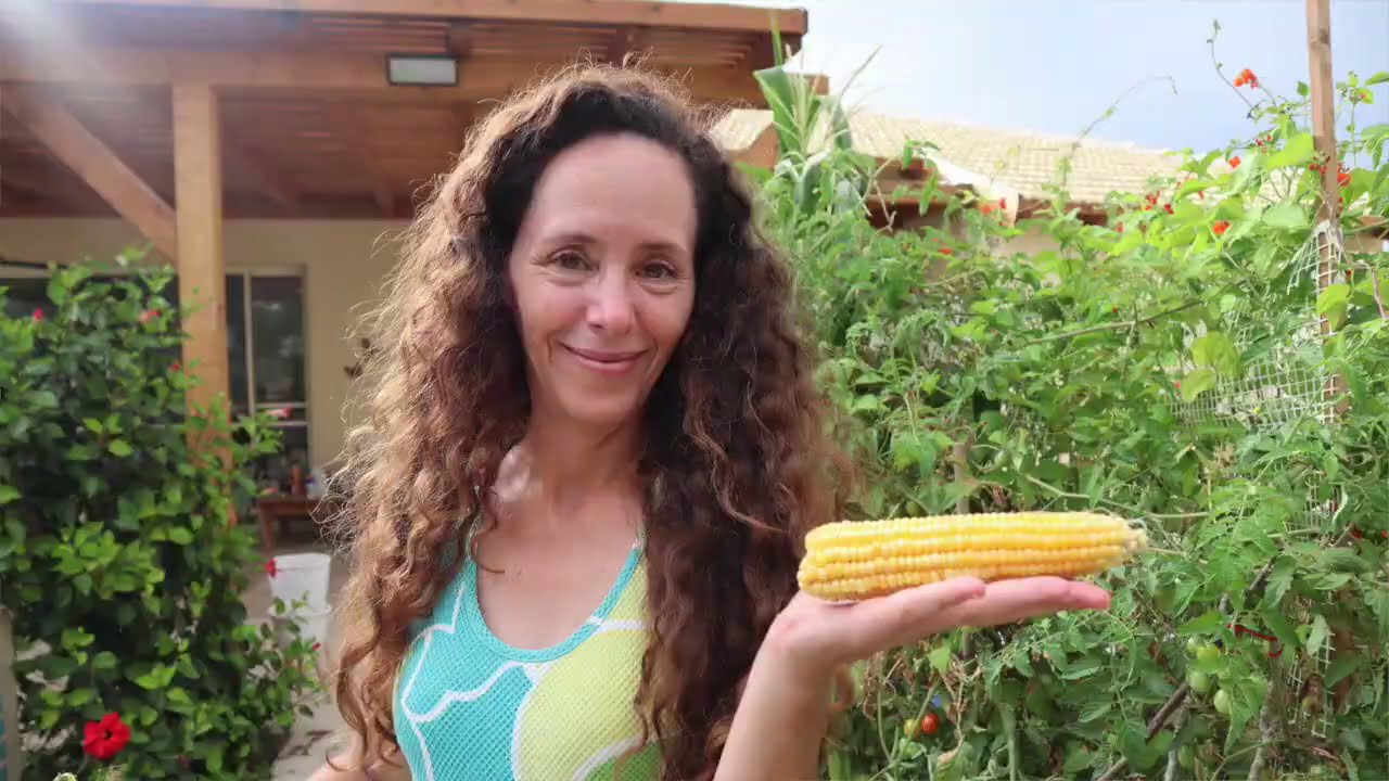 גינת הירק ביולי אוגוסט
