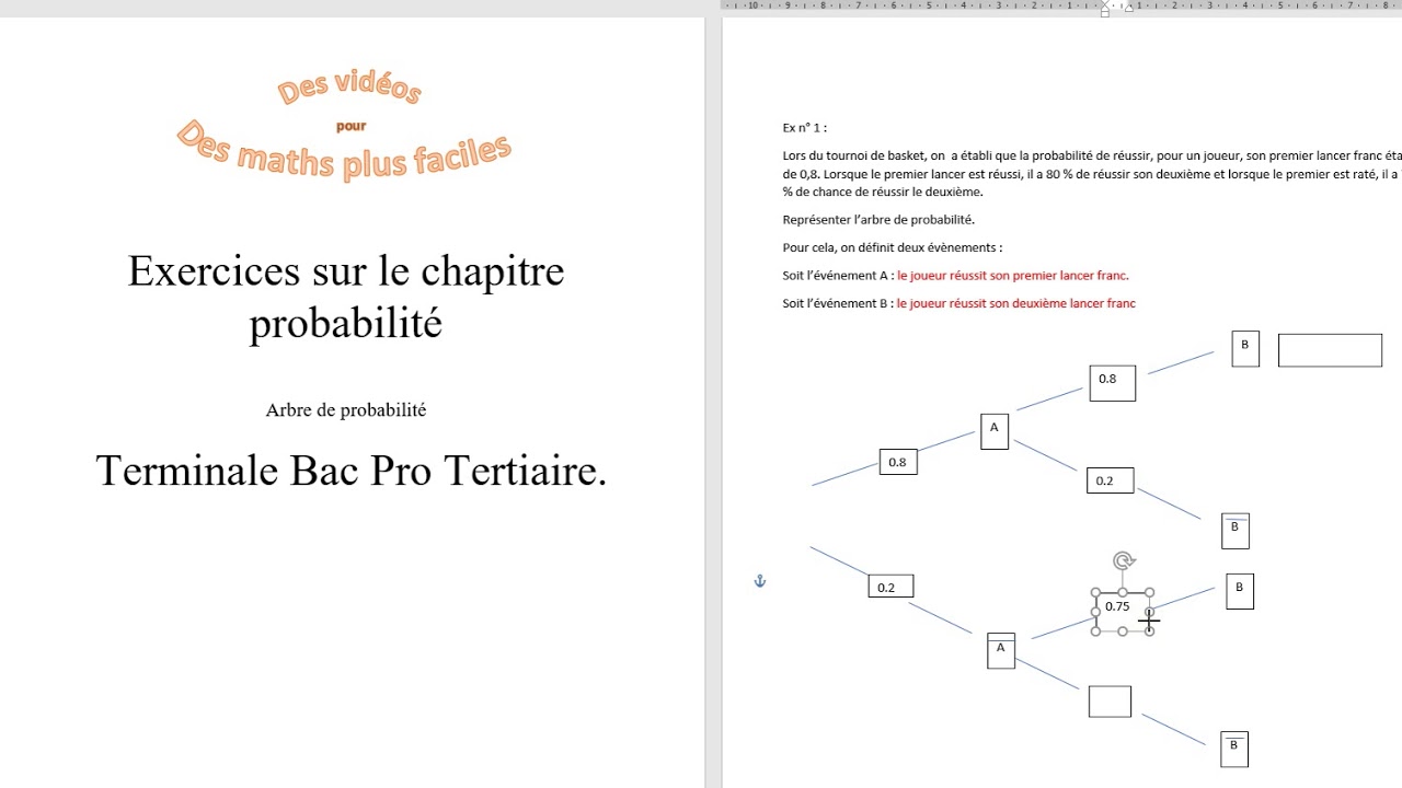 terminale bac pro- arbres de probabilités-exercices