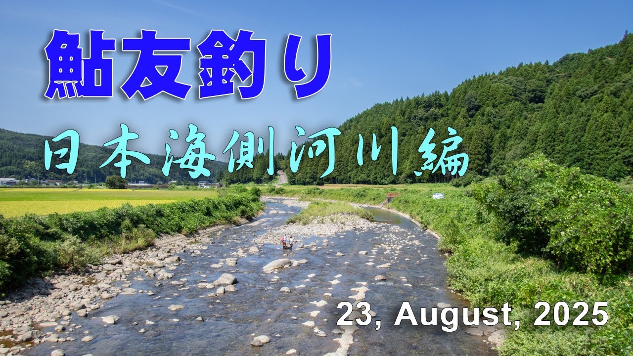 鮎友釣り・日本海側河川編  23, August, 2025