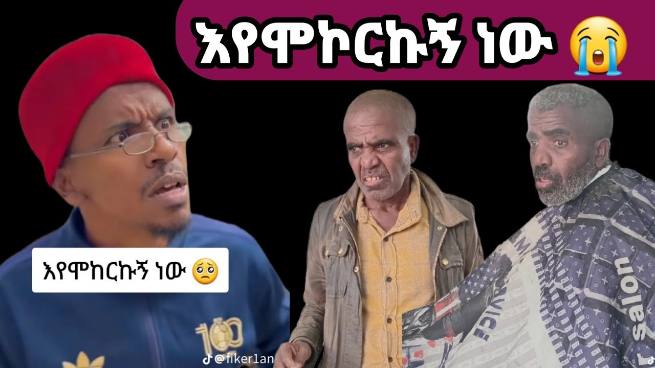 ''እየሞኾርኩኝ ነው ''አብ ሕድሕድ ልቢ ሕብረተሰብ ዘላ ቃል😭😭