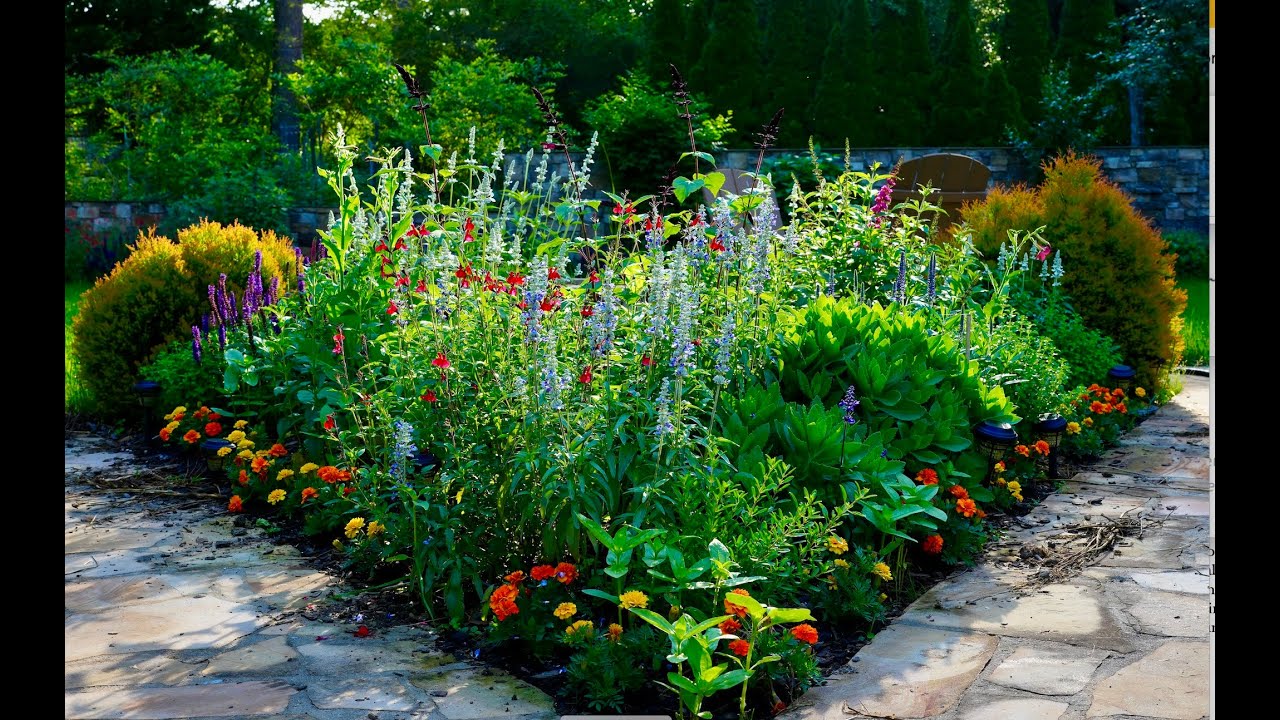Backyard Garden Spring 2025