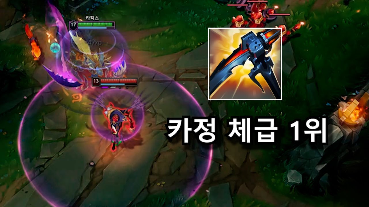 정글챔피언 현 체급 1황입니다 신규 아이템으로 개사기가 된 