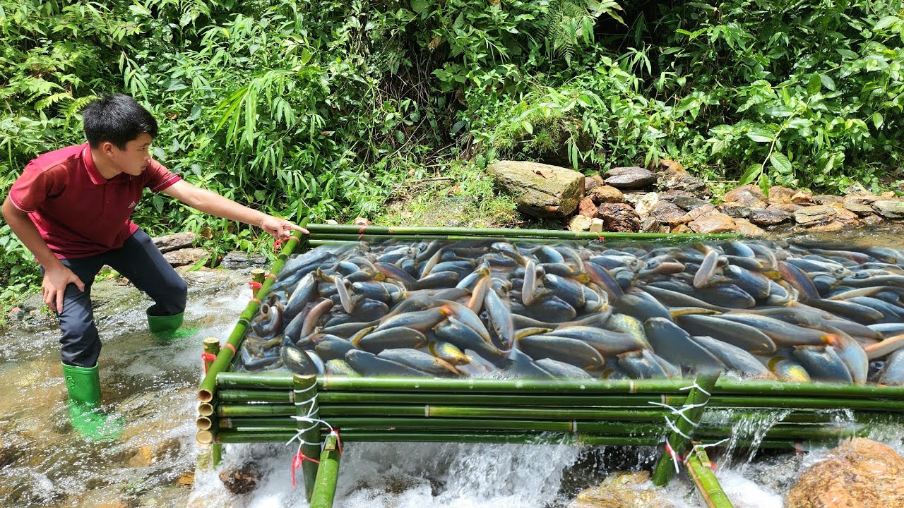 The talented boy used bamboo to create a trap to catch fish in a natural stream. | Wandering boy