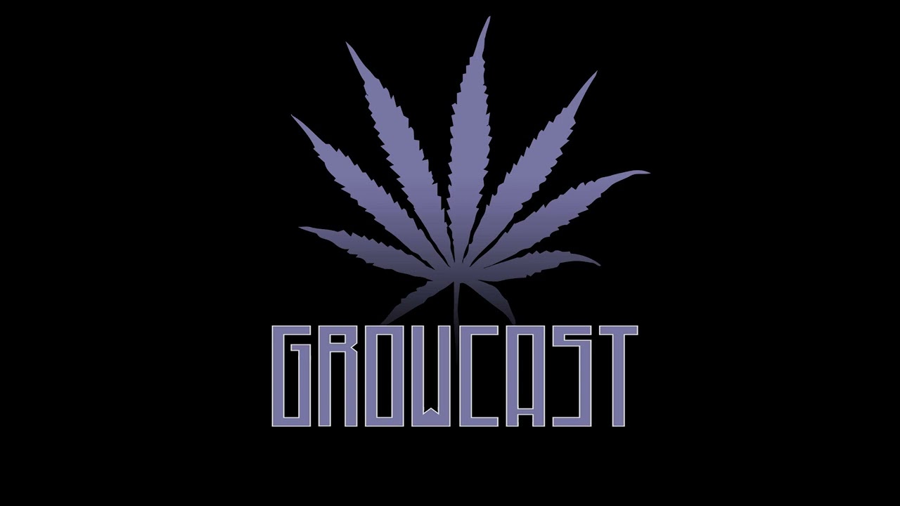🌱 How to Get the MOST Out of Your Soil Home Grow, with Ricky from Riverview