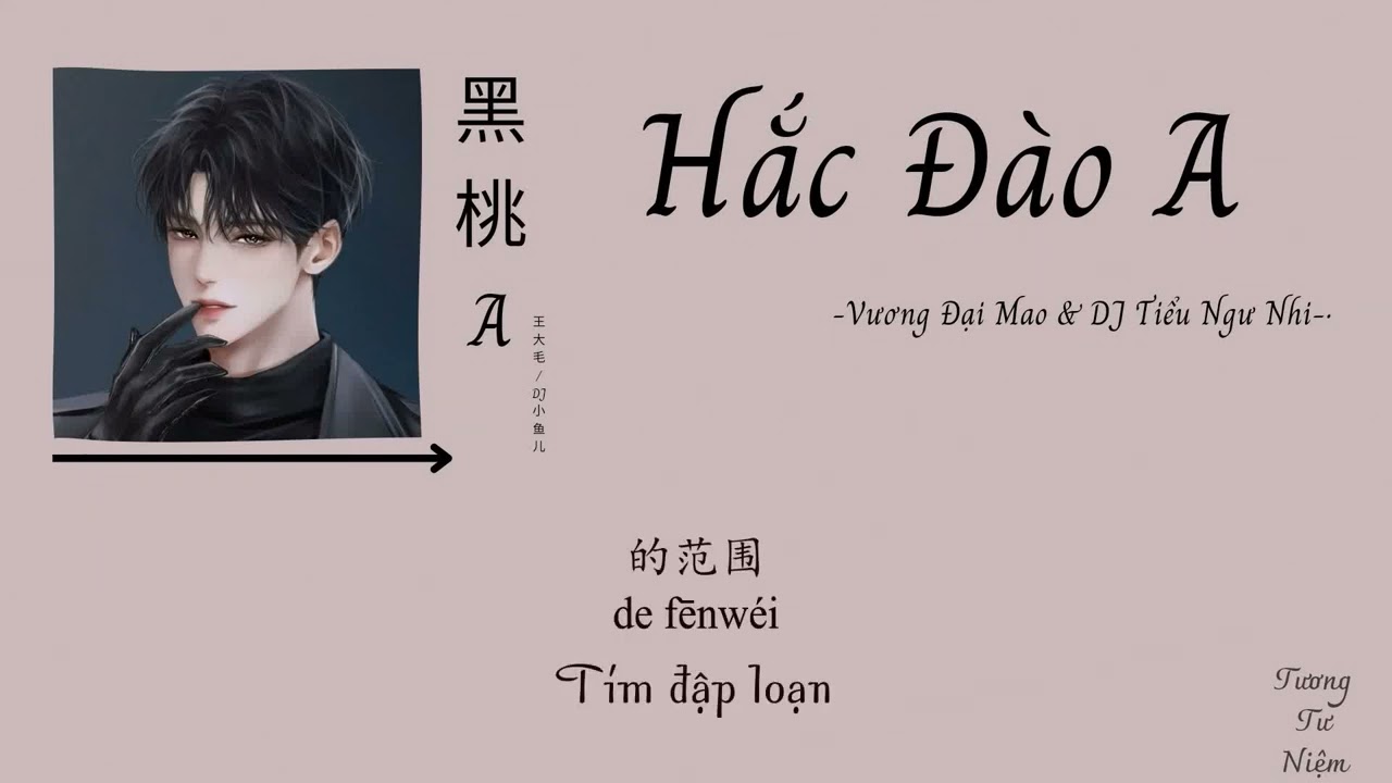 [ Vietsub ] Hắc Đào A - Vương Đại Mao & DJ Tiểu Ngư Nhi ( Bản hợp ca ) || 黑桃A -  王大毛 & DJ 小鱼儿