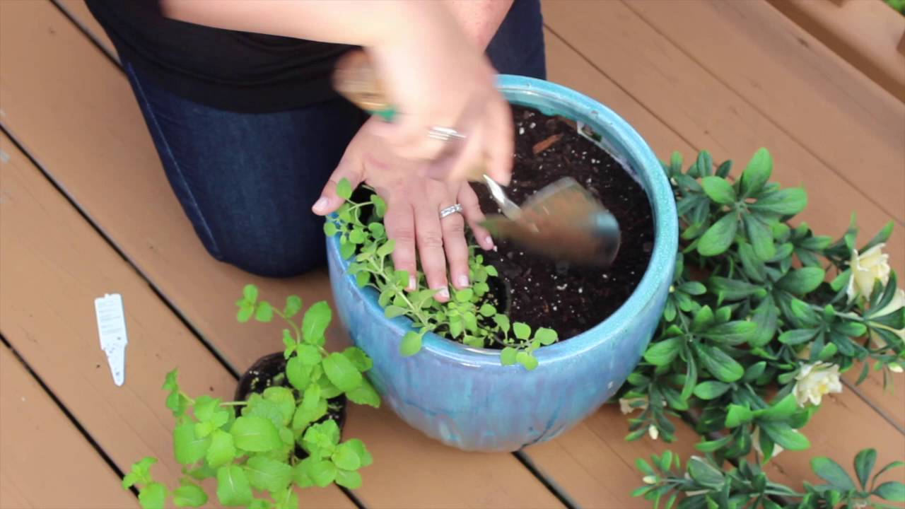 DIY Herb & Artificial Azalea Planter
