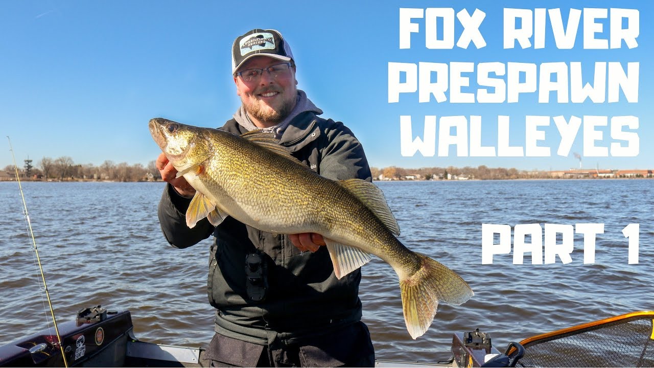 *Fox River Prespawn Walleyes Part 1 *Everyone Else Is Doing It!*