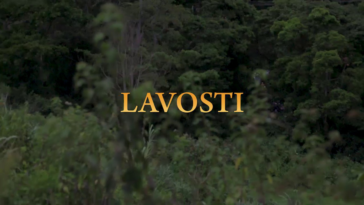 Lavosti mark my words