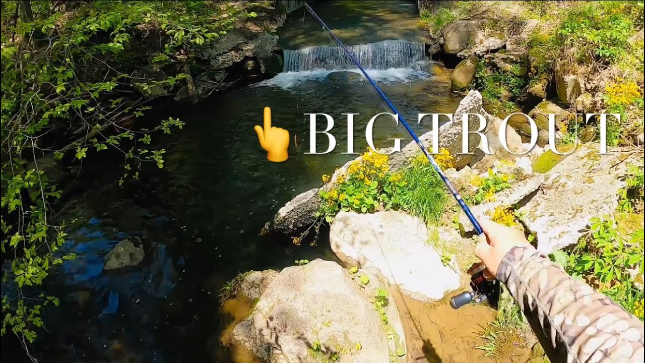 The Best TROUT FISHING TRIP I’ve Had In 2025 (Many Big Trout) #mepps #fishing #trout