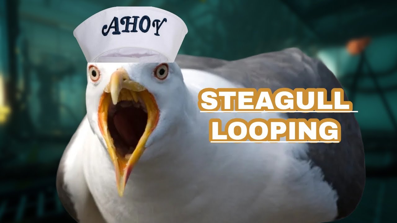 Screaming At Killers As Steagull