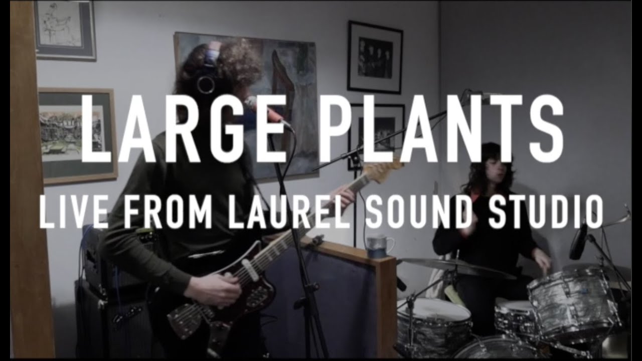 Large Plants - Live at Laurel Sound Studio - Full Session