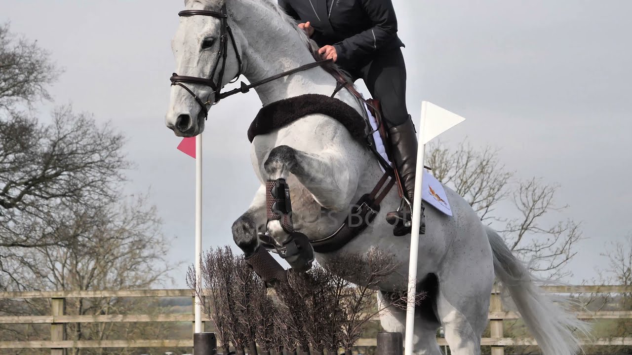 Tri-Zone All Sports Horse Boots for All Disciplines