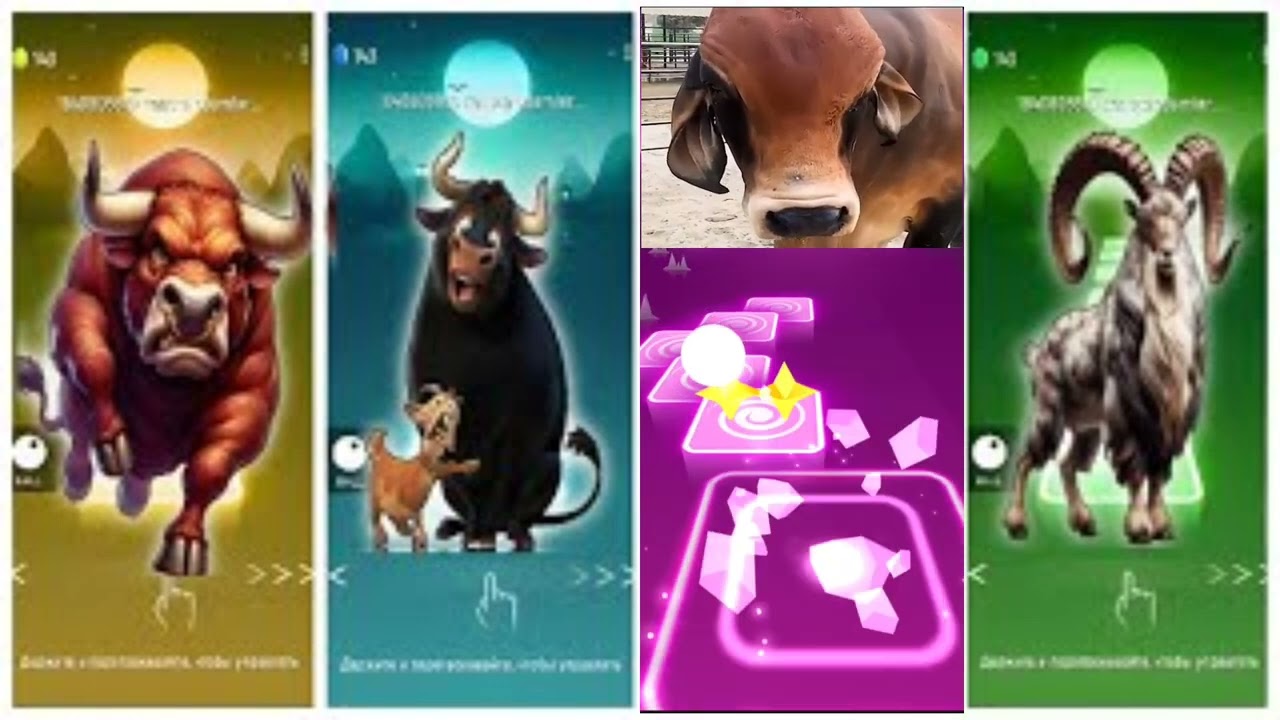Funny Animals - Cow 🆚 Tiger 🆚 Elephant 🆚 Lion 🎵 Tiles Hop #part30