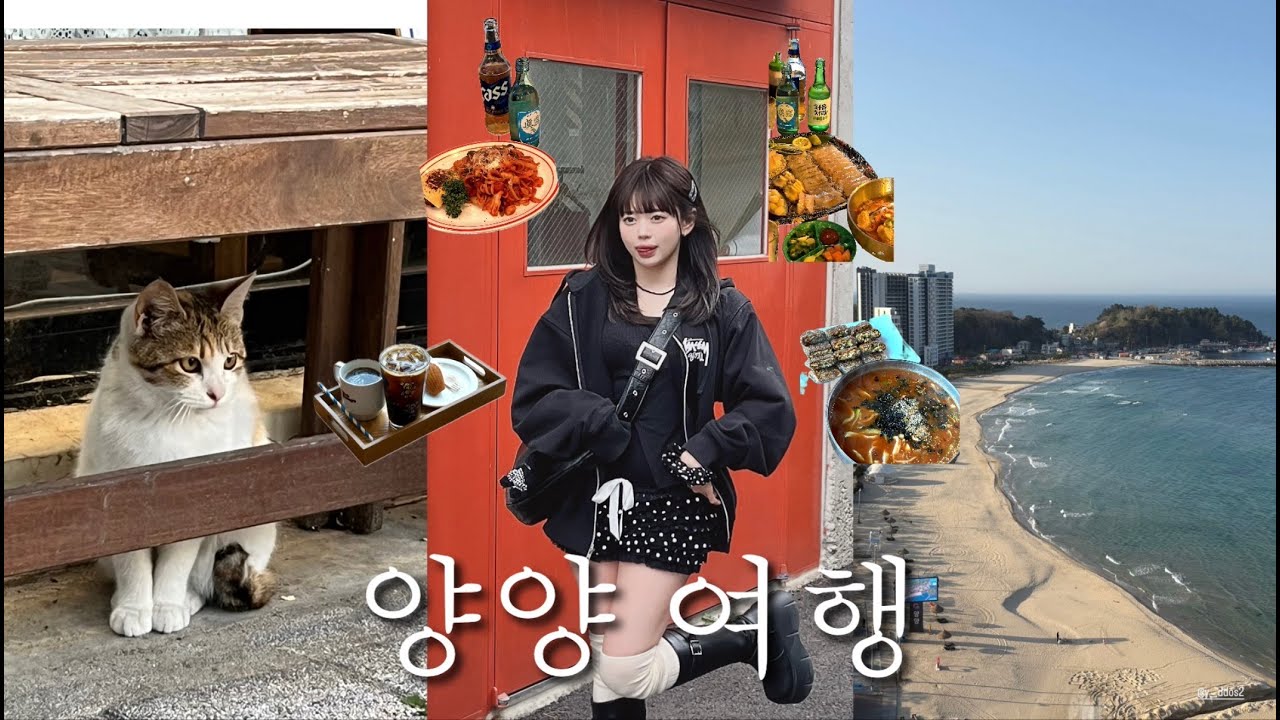 [양양여행 브이로그]_여행 브이로그라 쓰고 알콜트립이라 읽는다🍺｜양양 맛집&middot;카페&middot;소품샵 추천