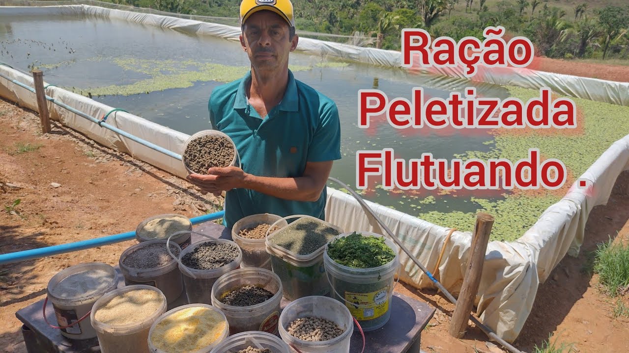 FIZ A RAÇÃO PELETIZADA FLUTUAR ! REVELANDO O SEGREDO DA FÓRMULA
