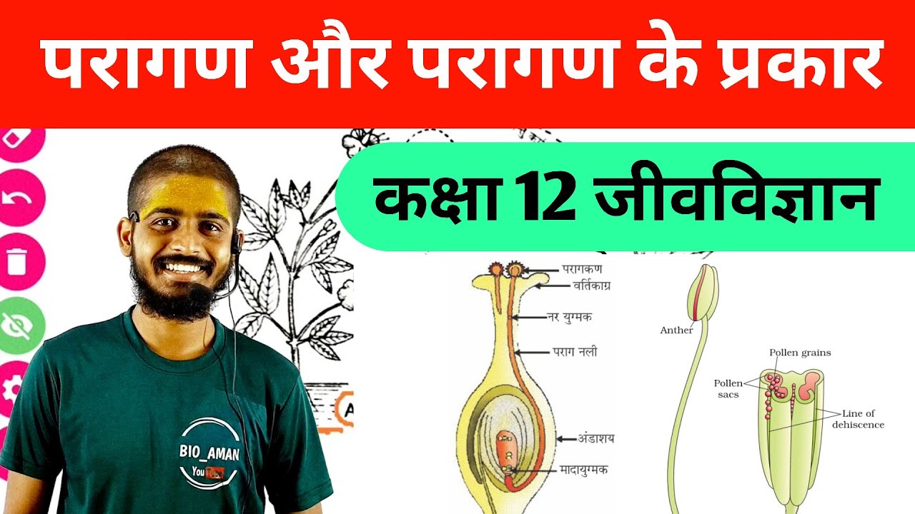 Pollination in hindi | Types of Pollination in hindi | परागकण की क्रिया | Biology by Bioaman