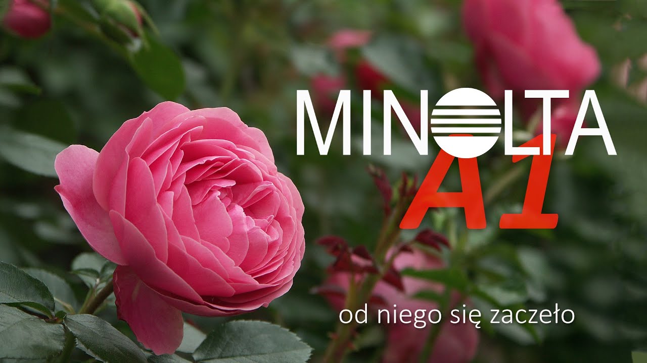 Minolta A1 - od niej się zaczęło - Fotografia jest Fajna