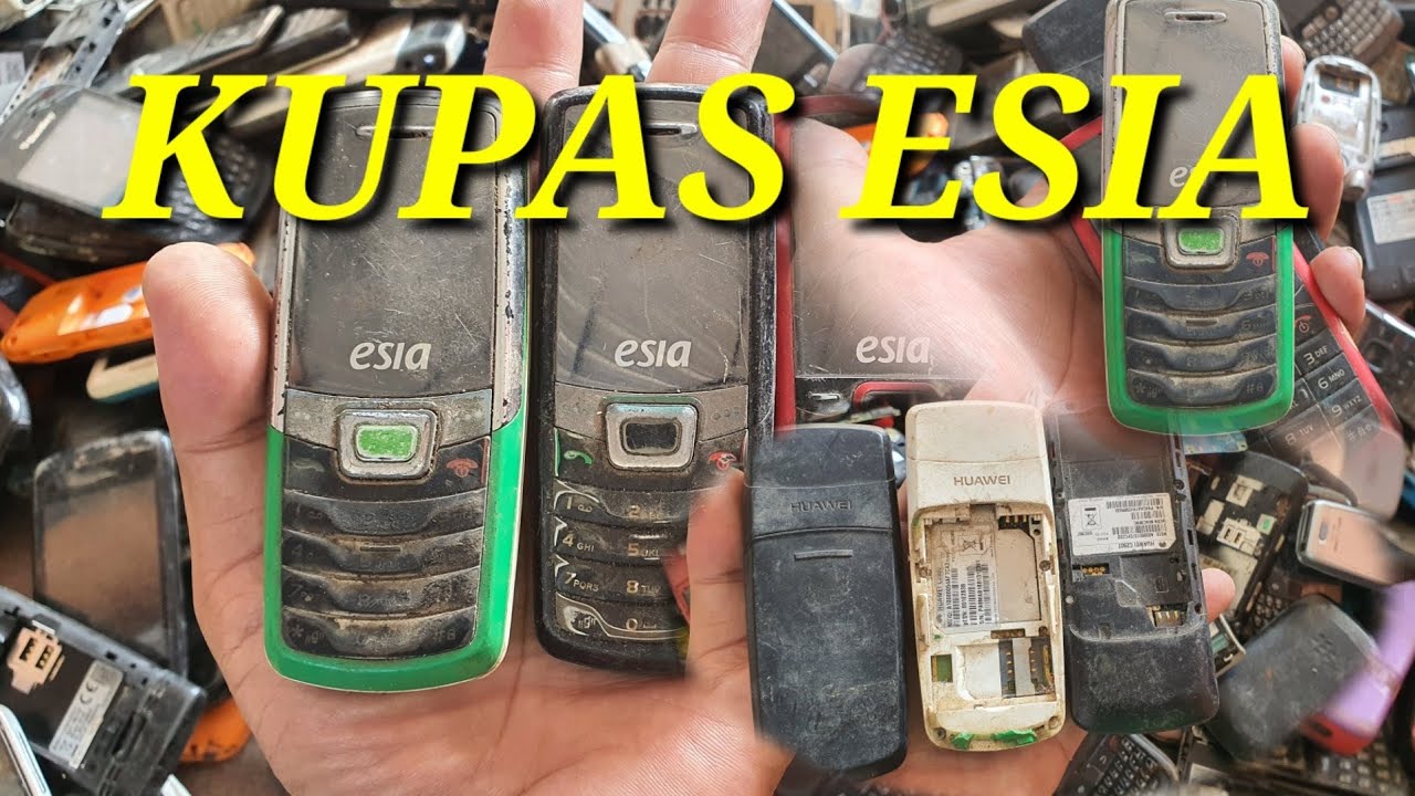 ESIA KUPAS KANDUNGAN EMAS DAN HARGA